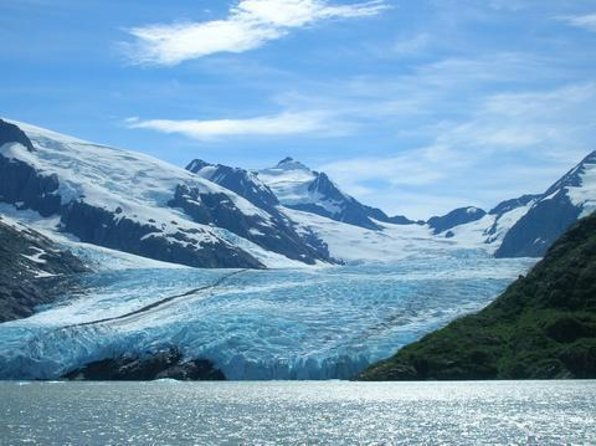 anchorage-to-seward-pre-cruise-curated-wildlife-tour-transfer