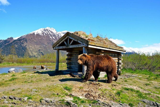 anchorage-to-whittier-cruise-transfer-and-private-tour