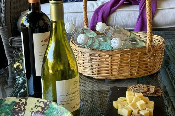 andes-portillo-aconcagua-premium-vineyard-tasting-semi-private