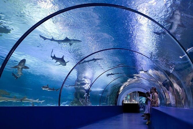 antalya-aquarium-and-face-to-face-wax-museum-ticket
