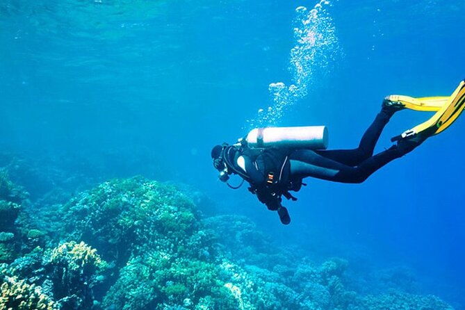 antalya-scuba-diving-with-transfer-from-beleklarakemer-hotels