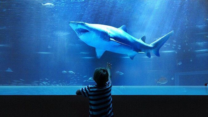 aquarium-tour-rio-de-janeiro