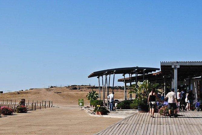 archaeological-tour-of-nora