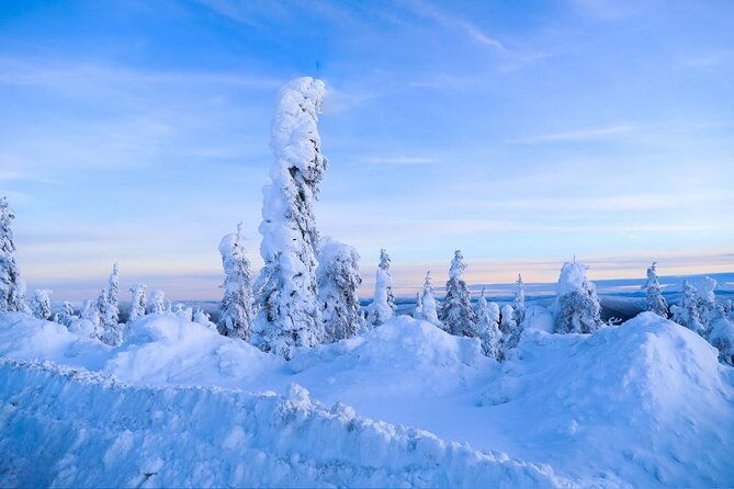 arctic-circle-day-tour-adventure