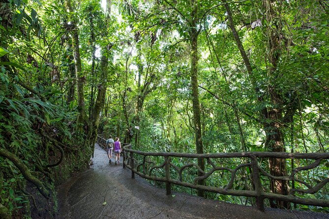 arenal-hanging-bridges-guided-walk-hot-springs-optional