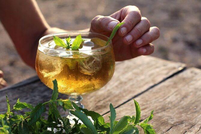 aromatic-experience-in-the-medicinal-garden-in-ibiza-2