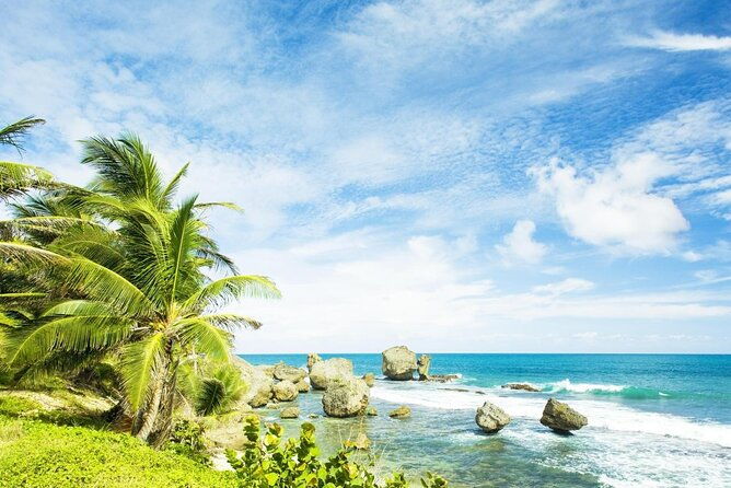 around-the-island