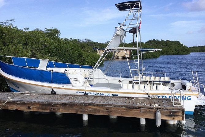 aruba-2-tank-guided-dive-for-certified-divers-with-own-equipment