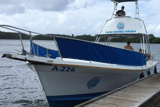 aruba-2-tank-guided-dive-for-certified-divers