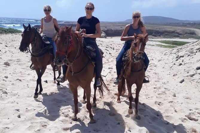 aruba-25-hrs-horseback-riding-for-advanced-riders