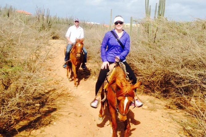 aruba-horseback-riding-tour-for-advanced-riders