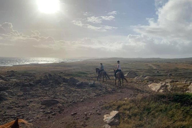 aruba-private-2-hour-horseback-riding-tour-for-advanced-riders