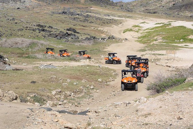 aruba-utv-rentals-for-off-road-adventure