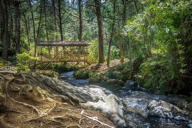 arvi-park-and-waterfalls-medellin-city-tour-5-hour