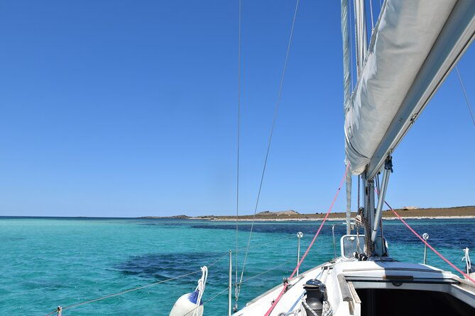 asinara-sailing-experience-among-the-coves-of-the-island