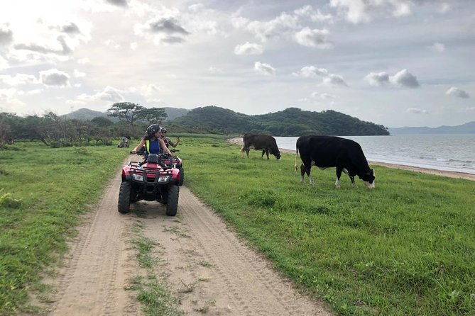 atv-beach-tour
