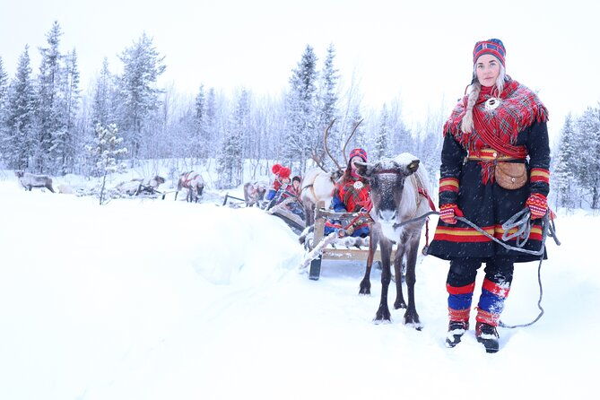 aurora-hunting-with-reindeer-caravan