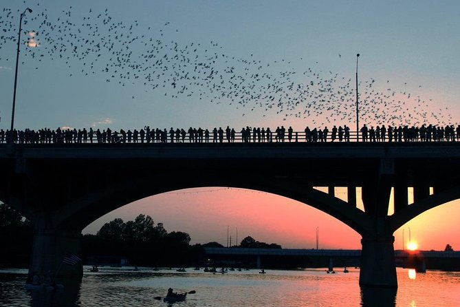 austin-small-group-night-tour-with-famous-austin-bat-boat-cruise-2