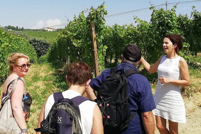 authentic-piedmont-wine-tour-with-a-local-sommelier