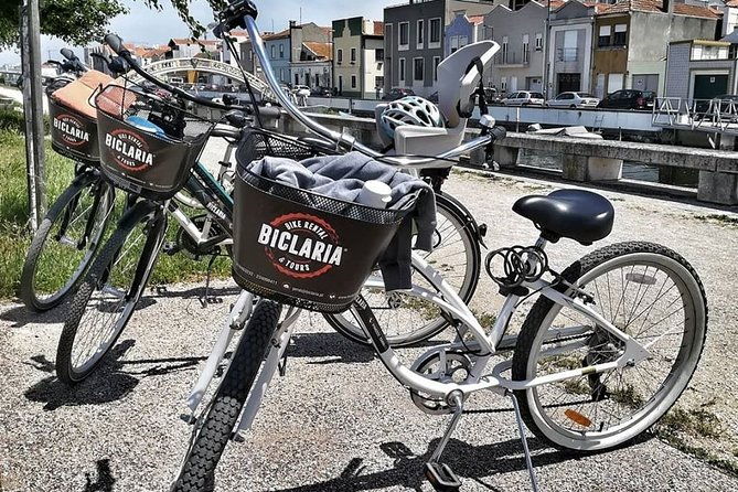 aveiro-bike-rental-5-8-hours