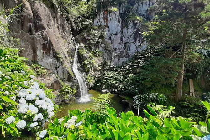 azores-sao-miguel-hike-and-snorkeling-into-the-wild-with-a-local-2