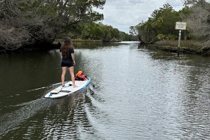 backland-alligator-electric-paddle-tour