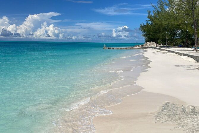 bahamas-adventure-pigs-reef-turtles-and-beach-with-lunch