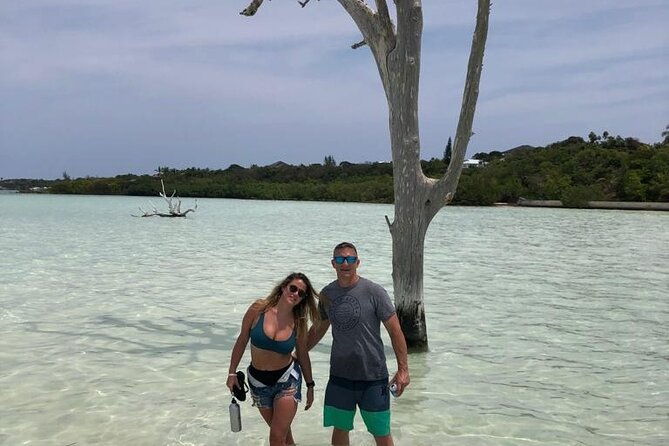 bahamas-famous-pink-sand-and-pig-experience-with-snorkeling