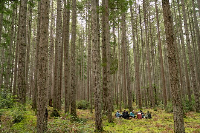 bainbridge-island-serenity-forest-hike-cultural-landmarks-tour