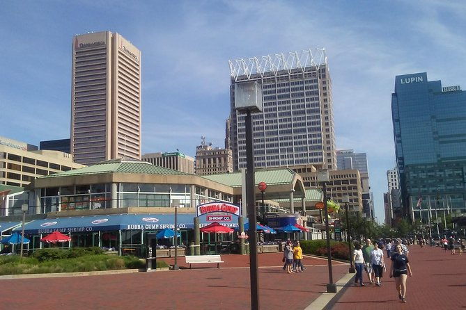 baltimores-cruise-ship-tour-shuttle-service-2