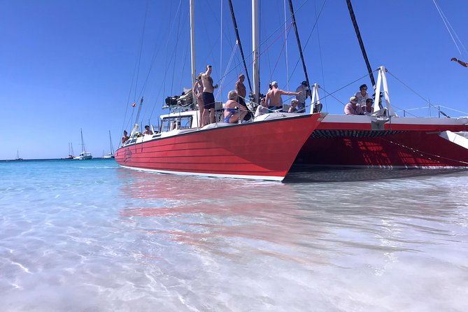 barbados-catamaran-turtle-and-shipwreck-snorkeling-cruise