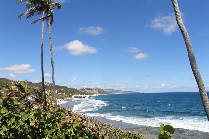 barbados-shore-excursion-barbados-paradise-sightseeing-tour