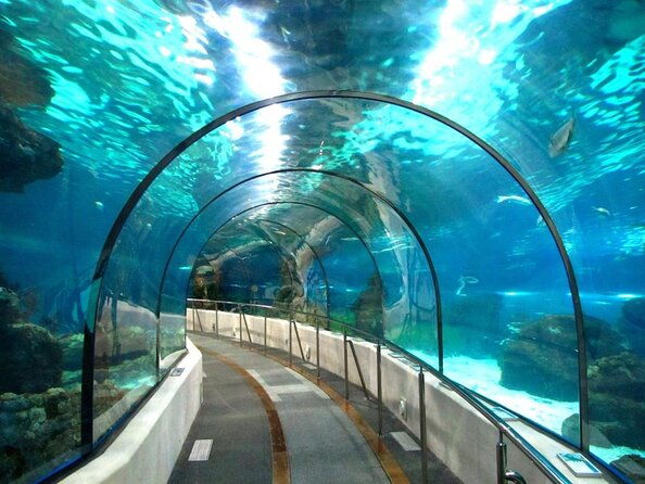 barcelona-aquarium-skip-the-line-ticket