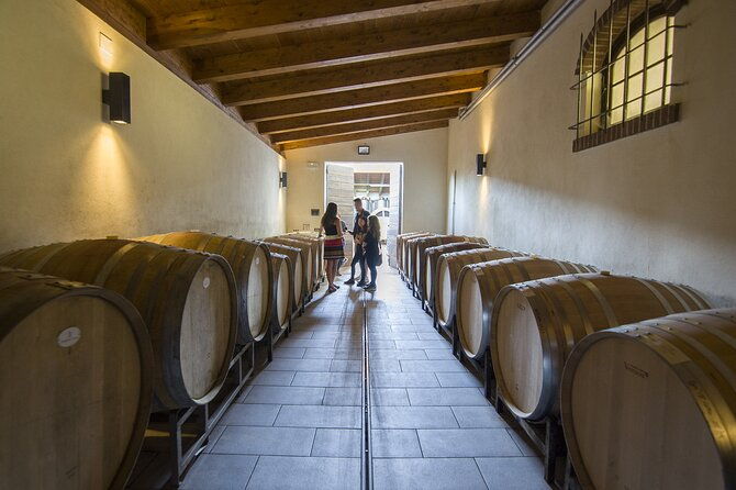 barolo-wine-tour