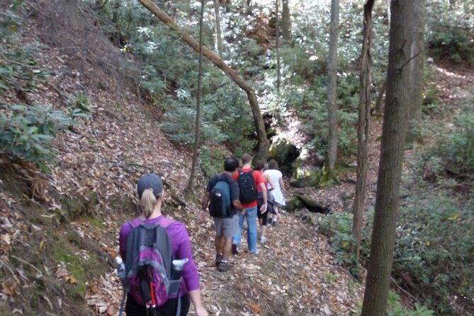 bartram-trail-hike-plus-wine-tasting