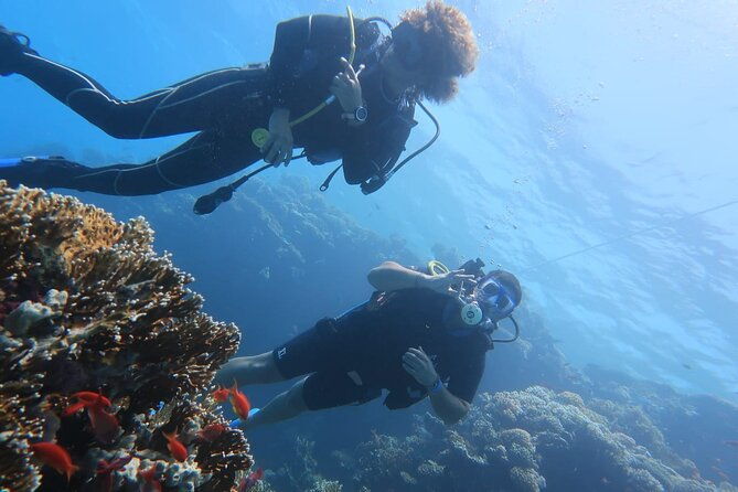 basic-scuba-diver