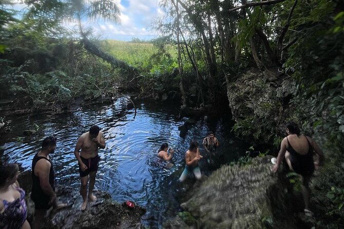 bat-snakes-cave-hidden-fresh-spring-beach-food-fullday-tour
