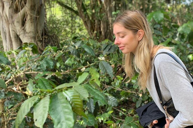 be-a-farmer-for-one-day-coffee-farm-experience