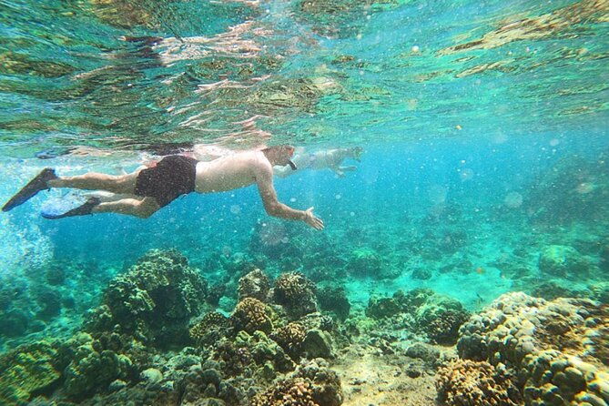 beach-snorkel-sea-turtle-and-black-sand-lagoon
