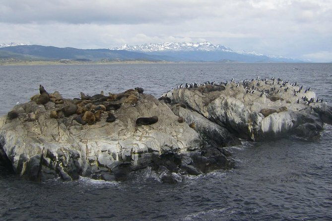 beagle-channel-and-seal-island-catamaran-tour-from-ushuaia