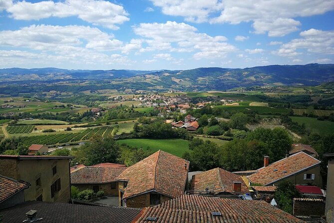 beaujolais-wine-tour-tastings-gourmet-picnic-lunch