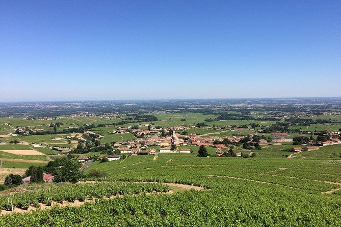 beaujolais-wines-castles-private-tour-half-day