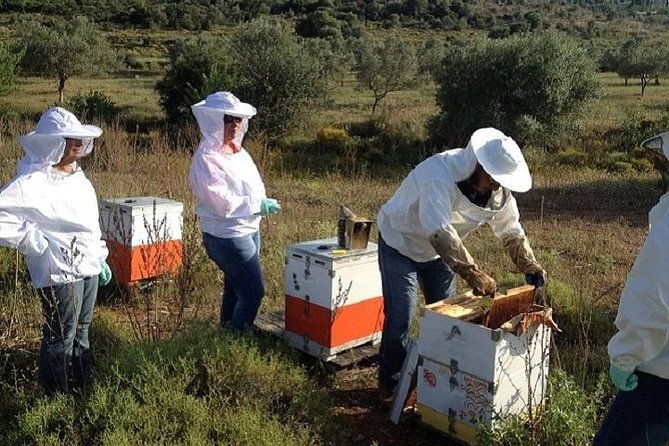 beekeeper-for-a-day-close-to-nafplio