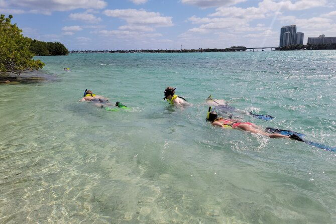 beginner-friendly-island-snorkeling