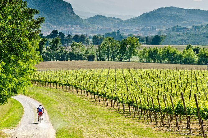 bergamo-and-franciacorta-with-lunch-and-cellar-visit