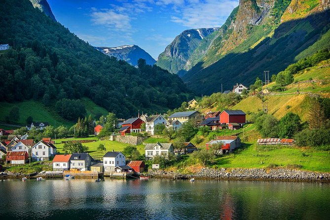 bergen-to-sognefjord-private-roudtrip-with-cruise-and-flasmbana
