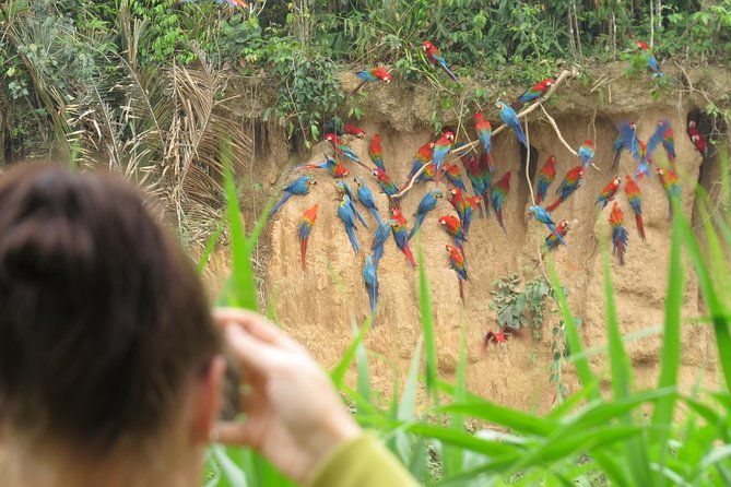 best-of-tambopata-3-nights-by-junglepro