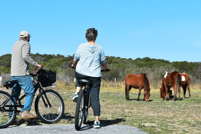 bicycle-rental-from-visitor-center-location-at-assateague-md