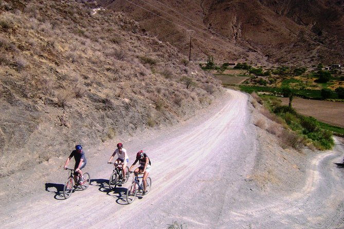 bicycle-rides