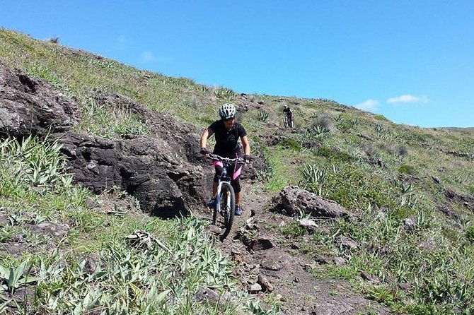 bike-rental-2
